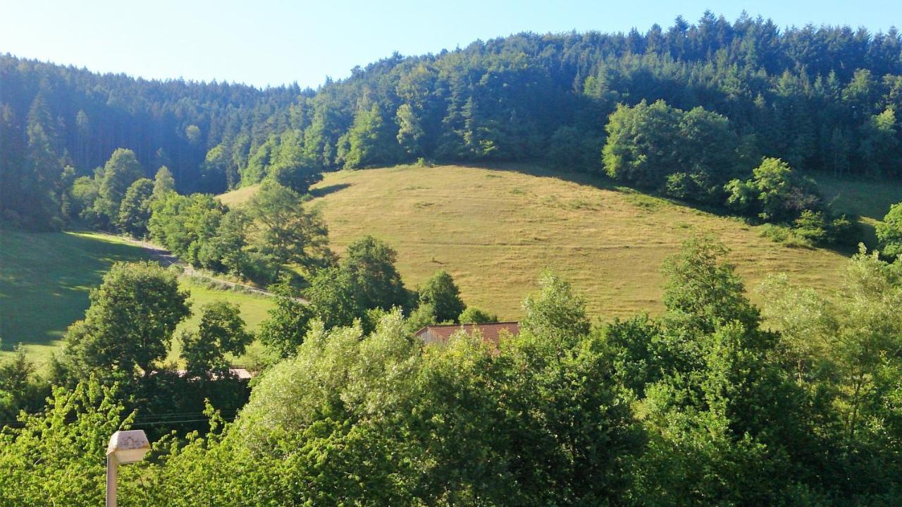 Hotel Gasthof Zur Krone Oberzent Extérieur photo
